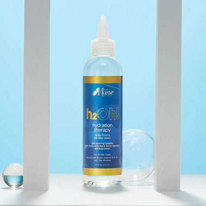 The Mane Choice H2Oh! Hydration Therapy [Scalp Toning Micellar Water]