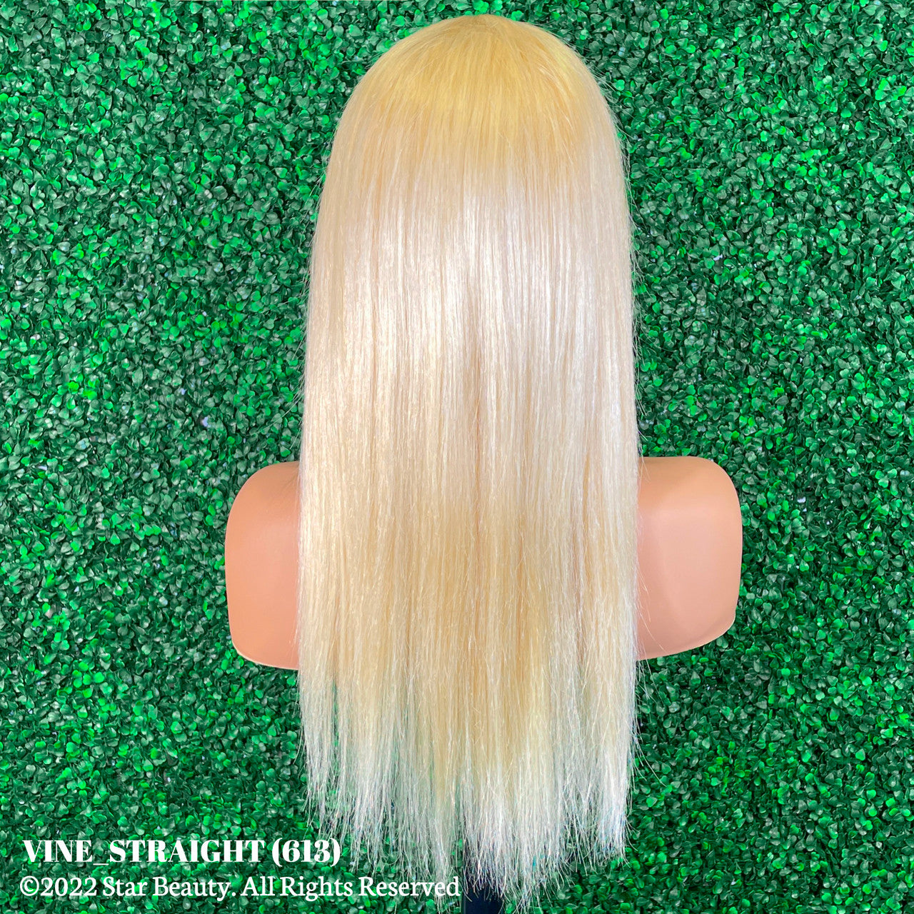 Vine Reserve Mink Brazilian 100% Human Remy HD 13x4 Lace Wig - Straight (20"-22") [613]