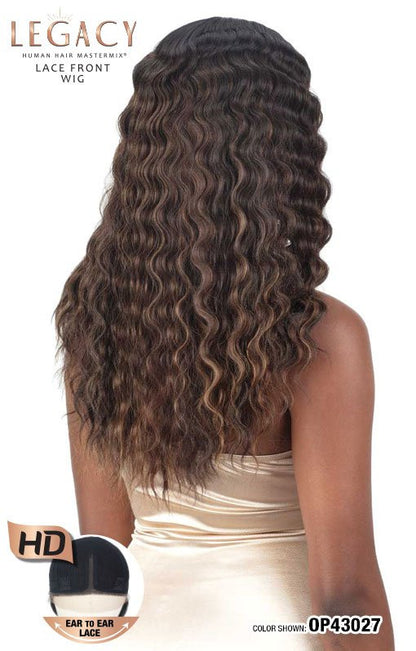 SHAKE N GO LEGACY Synthetic HD Lace Front Wig - FLUTTER
