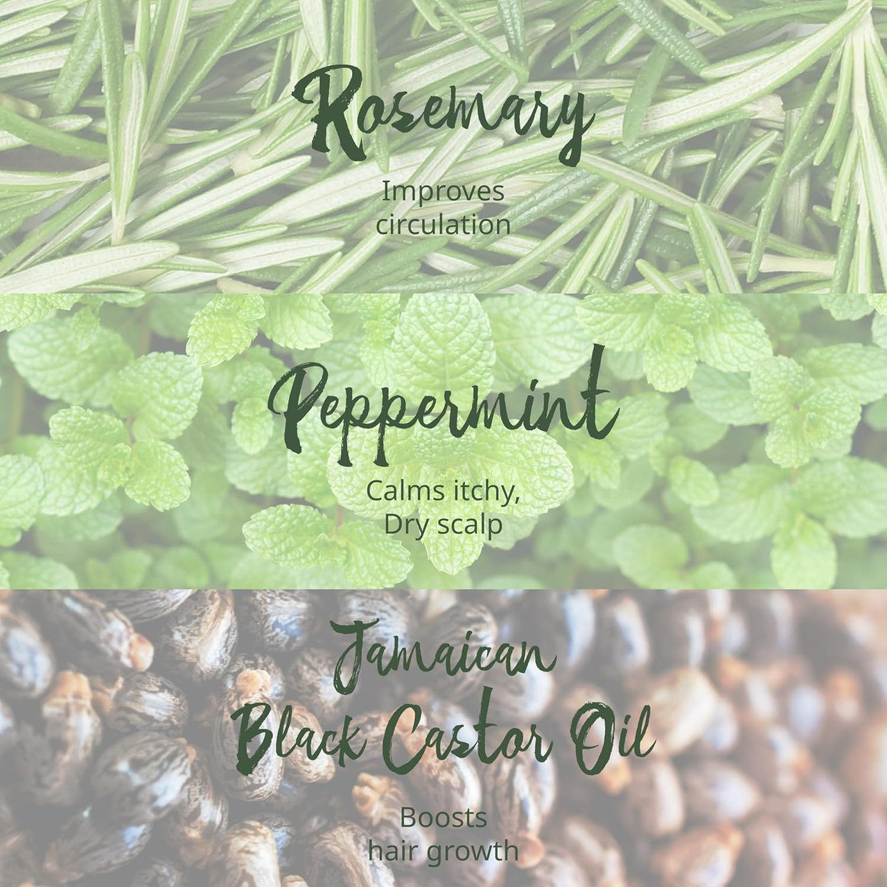 Tropic Isle Living Rosemary Mint Shampoo (8oz) - product image 7
