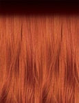 OUTRE Synthetic Perfect Hairline Swoop Series Glueless Lace Frontal Wig - Swoop Y-Part 209 - Color DR2/Ginger Frost swatch