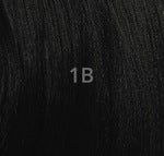 Queen B Braid SYN GOOD CHI 3X 52" - Color 1B swatch