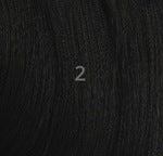 Queen B Braid SYN GOOD CHI 3X 52" - Color 2 swatch