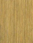 SENSATIONNEL Synthetic Bare Lace Full Lace Wig - UNIT 9 - Color Caramel Blonde swatch
