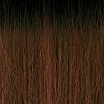 OUTRE Converti Cap Premium Synthetic Wig - LIVING LEGEND - Color DR2/Hazelnut swatch