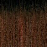 OUTRE Converti Cap Premium Synthetic Wig (Wet & Wavy) - WATERFALL IN LOVE - Color DR2/Hazelnut swatch