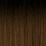 OUTRE Converti Cap Premium Synthetic Wig (Wet & Wavy) - WATERFALL IN LOVE - Color DR2/Honey Brown swatch
