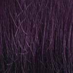 OUTRE Fab & Fly 100% Unprocessed Human Hair Wig - HH-BEVERLY - Color DX Midnight Purple swatch