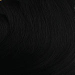 SHAKE N GO LEGACY Synthetic HD Lace Front Wig - FELICITY - Color 1 swatch