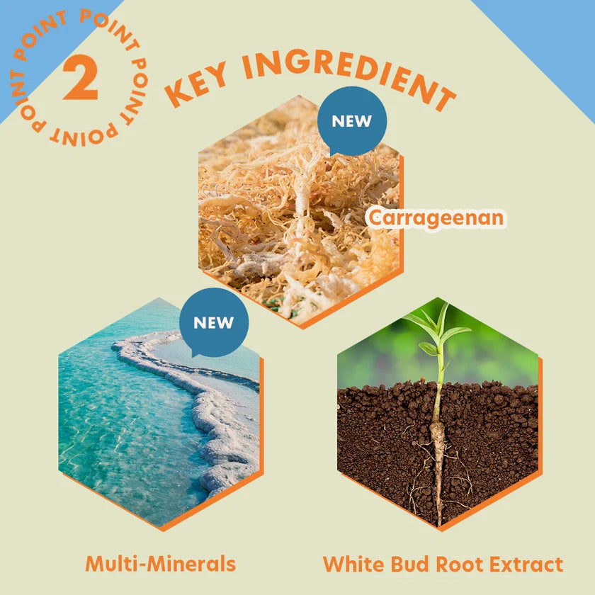 LULULUN Pure Sheet Face Mask