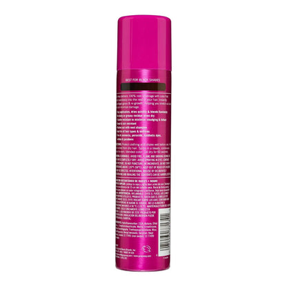 EVERPRO Gray Away Instant Root Cover Up