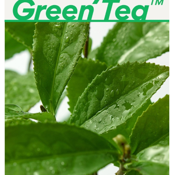 INNISFREE Green Tea Hyaluronic Lotion (5.74 oz)