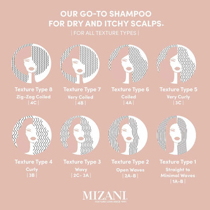 MIZANI Scalp Care Anti-Dandruff Conditioner (16.9 oz)