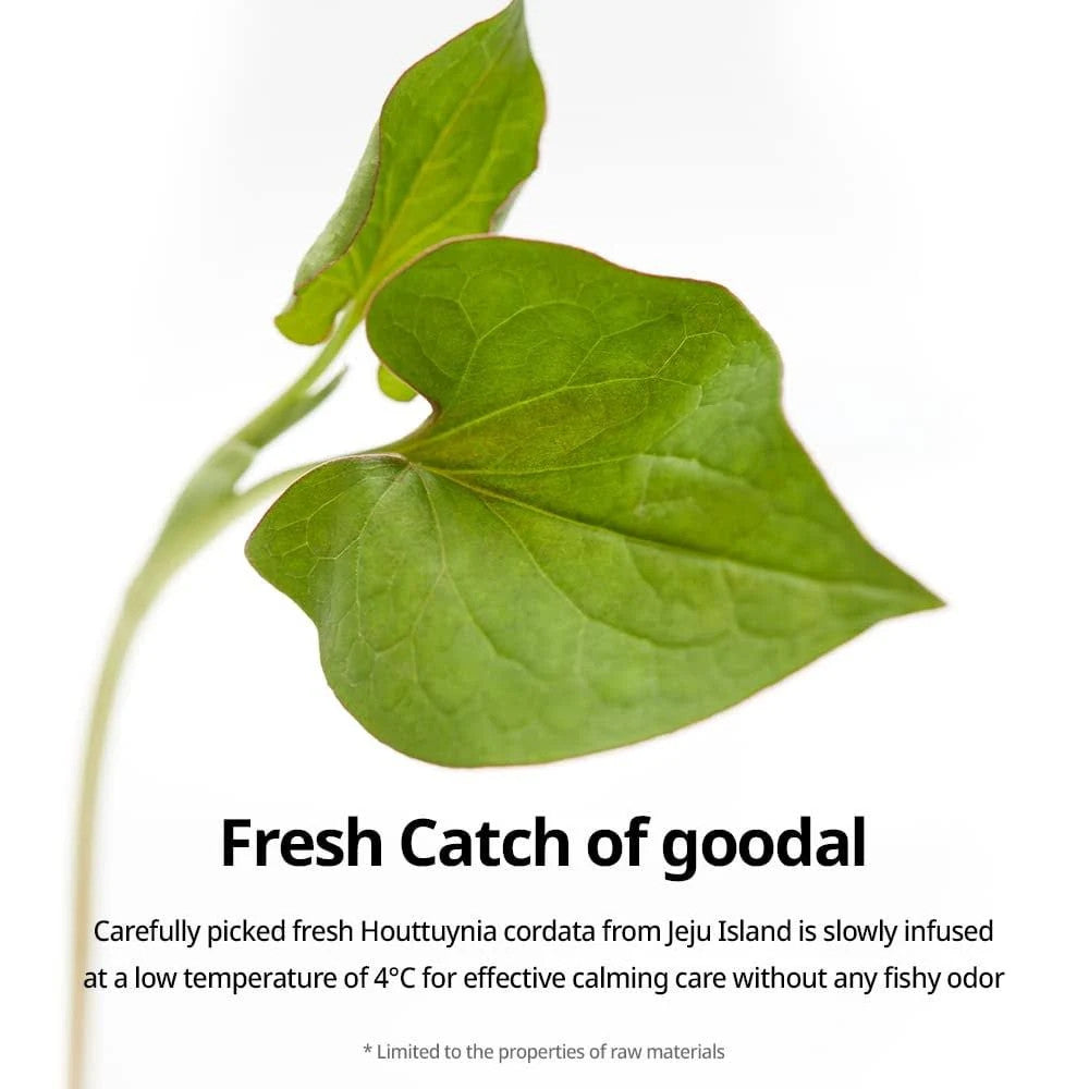 [GOODAL] Heartleaf Calming Moisture Care Sheet Mask (5 Sheets)