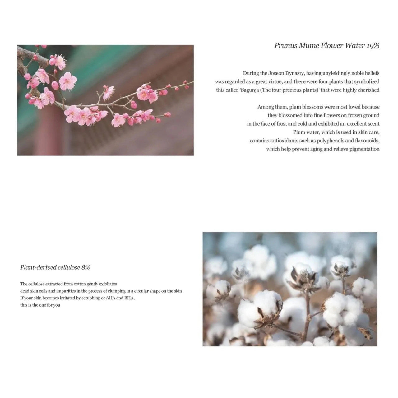 [BEAUTY OF JOSEON] Apricot Blossom Peeling Gel (3.38 oz)