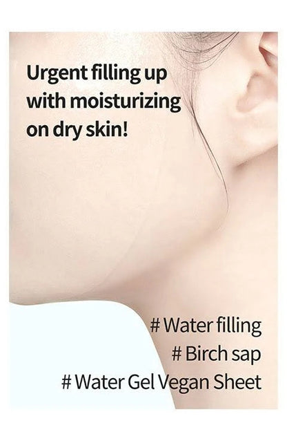 Anua Birch Moisture Mask (1 sheet)