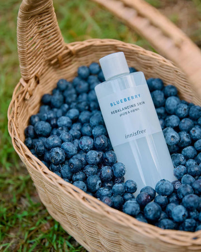 INNISFREE Blueberry Rebalancing Skin (5.07 oz)