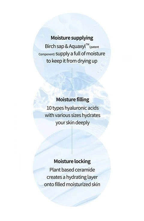 Anua Birch Moisture Mask (1 sheet)