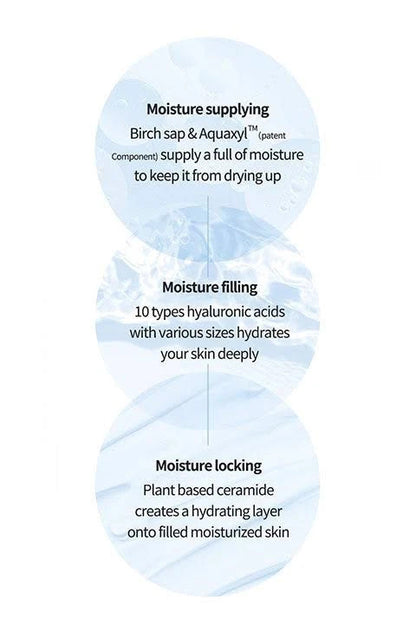 Anua Birch Moisture Mask (1 sheet)